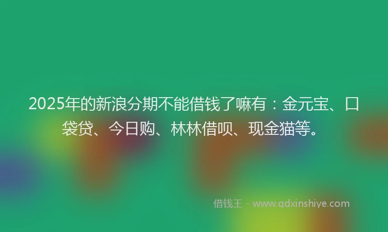 2025年的新浪分期不能借钱了嘛有：金元宝、口袋贷、今日购、林林借呗、现金猫等。