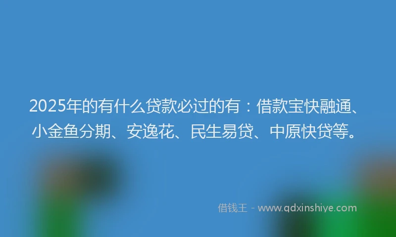 2025年的有什么贷款必过的有：借款宝快融通、小金鱼分期、安逸花、民生易贷、中原快贷等。