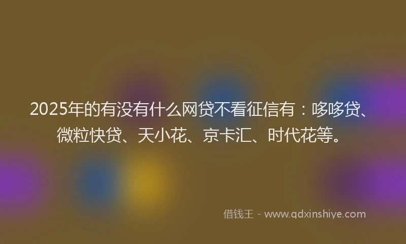 2025年的有没有什么网贷不看征信有：哆哆贷、微粒快贷、天小花、京卡汇、时代花等。