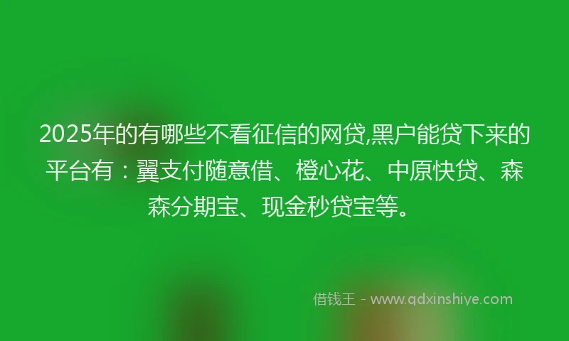 2025年的有哪些不看征信的网贷,黑户能贷下来的平台有：翼支付随意借、橙心花、中原快贷、森森分期宝、现金秒贷宝等。