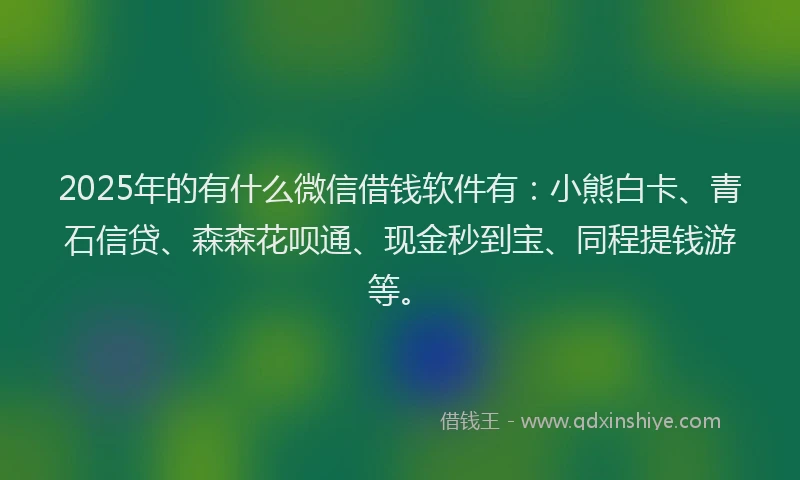 2025年的有什么微信借钱软件有：小熊白卡、青石信贷、森森花呗通、现金秒到宝、同程提钱游等。