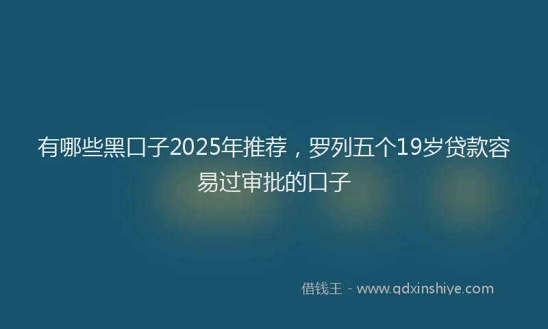 有哪些黑口子2025年推荐，罗列五个19岁贷款容易过审批的口子