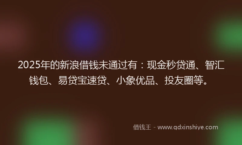 2025年的新浪借钱未通过有：现金秒贷通、智汇钱包、易贷宝速贷、小象优品、投友圈等。