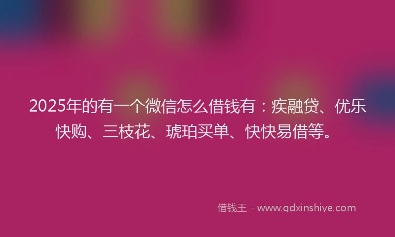 2025年的有一个微信怎么借钱有：疾融贷、优乐快购、三枝花、琥珀买单、快快易借等。