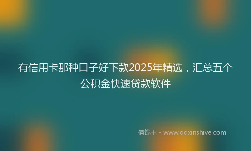 有信用卡那种口子好下款2025年精选，汇总五个公积金快速贷款软件