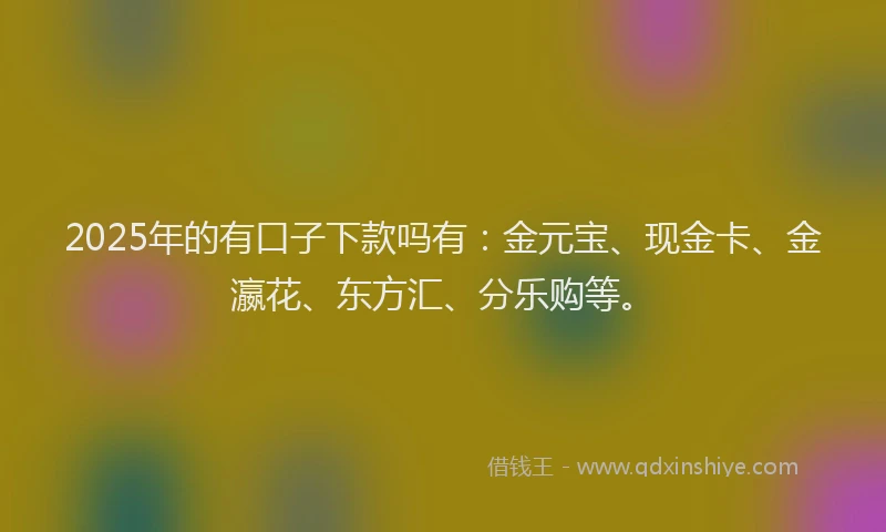 2025年的有口子下款吗有：金元宝、现金卡、金瀛花、东方汇、分乐购等。