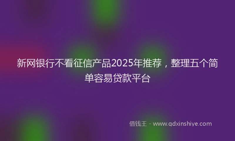 新网银行不看征信产品2025年推荐，整理五个简单容易贷款平台
