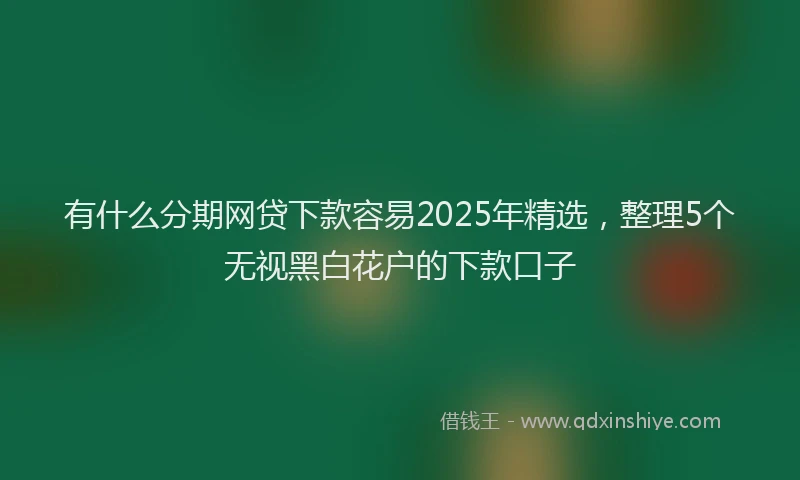 有什么分期网贷下款容易2025年精选，整理5个无视黑白花户的下款口子