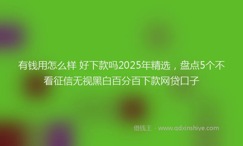 有钱用怎么样 好下款吗2025年精选，盘点5个不看征信无视黑白百分百下款网贷口子