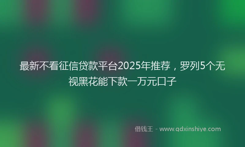 最新不看征信贷款平台2025年推荐，罗列5个无视黑花能下款一万元口子