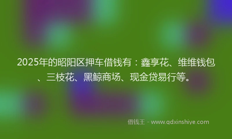 2025年的昭阳区押车借钱有：鑫享花、维维钱包、三枝花、黑鲸商场、现金贷易行等。
