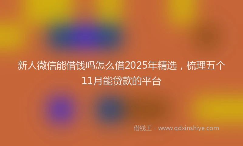新人微信能借钱吗怎么借2025年精选，梳理五个11月能贷款的平台