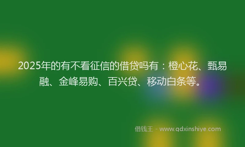 2025年的有不看征信的借贷吗有：橙心花、甄易融、金峰易购、百兴贷、移动白条等。