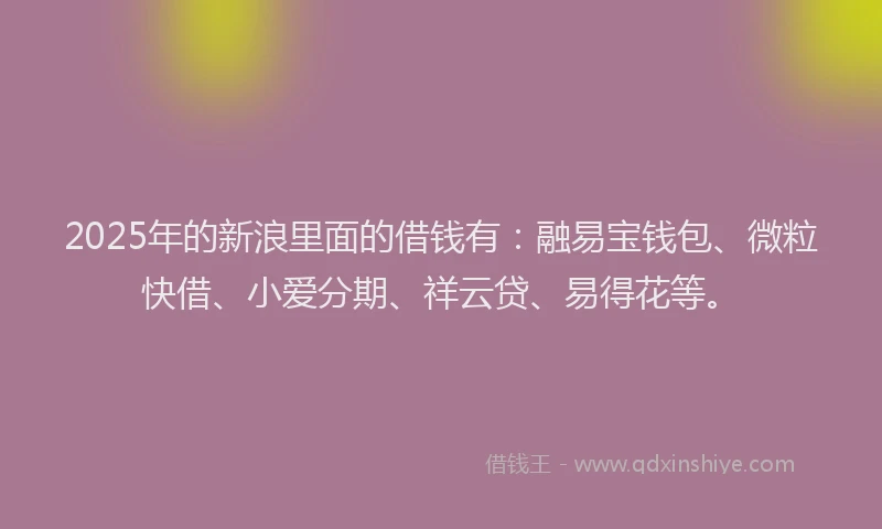 2025年的新浪里面的借钱有：融易宝钱包、微粒快借、小爱分期、祥云贷、易得花等。