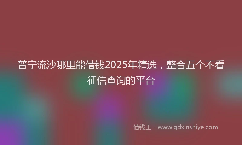 普宁流沙哪里能借钱2025年精选，整合五个不看征信查询的平台