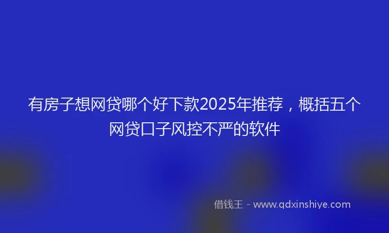 有房子想网贷哪个好下款2025年推荐，概括五个网贷口子风控不严的软件