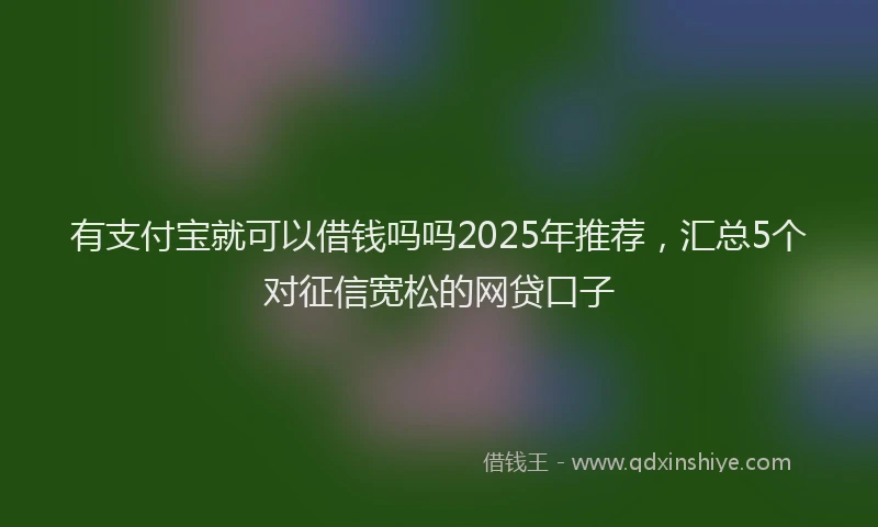 有支付宝就可以借钱吗吗2025年推荐，汇总5个对征信宽松的网贷口子