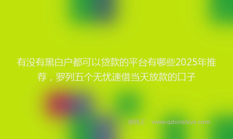 有没有黑白户都可以贷款的平台有哪些2025年推荐，罗列五个无忧速借当天放款的口子