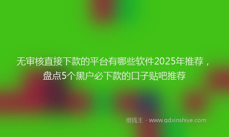 无审核直接下款的平台有哪些软件2025年推荐，盘点5个黑户必下款的口子贴吧推荐