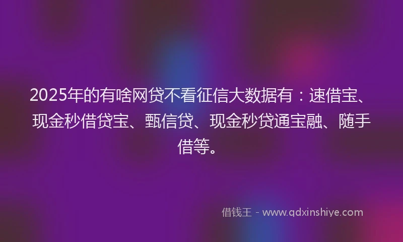 2025年的有啥网贷不看征信大数据有：速借宝、现金秒借贷宝、甄信贷、现金秒贷通宝融、随手借等。