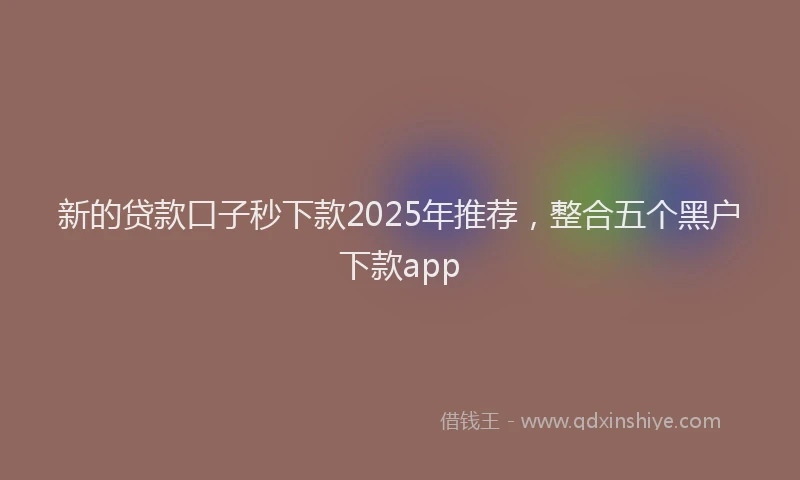 新的贷款口子秒下款2025年推荐，整合五个黑户下款app