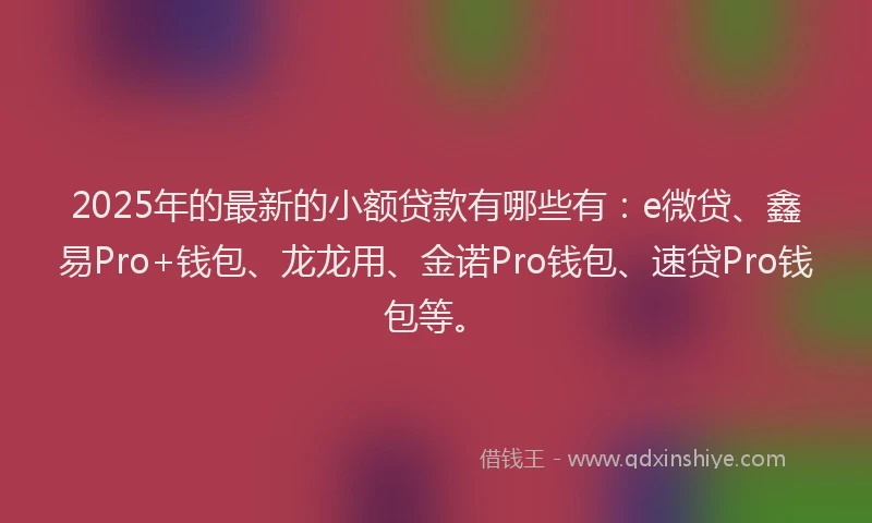 2025年的最新的小额贷款有哪些有：e微贷、鑫易Pro+钱包、龙龙用、金诺Pro钱包、速贷Pro钱包等。
