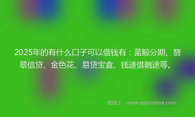 2025年的有什么口子可以借钱有：蓝鲸分期、翡翠信贷、金色花、易贷宝盒、钱速借融途等。