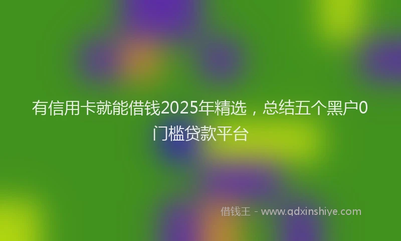 有信用卡就能借钱2025年精选，总结五个黑户0门槛贷款平台