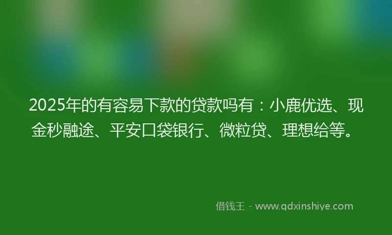 2025年的有容易下款的贷款吗有：小鹿优选、现金秒融途、平安口袋银行、微粒贷、理想给等。