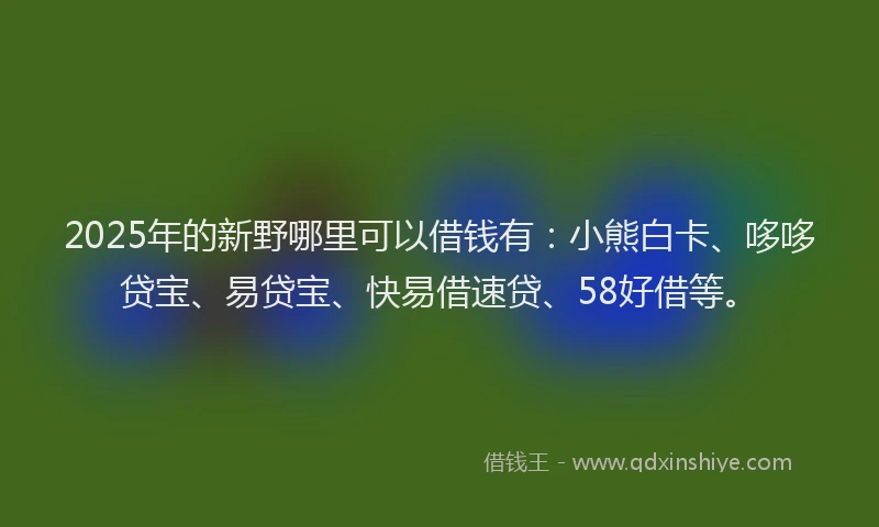 2025年的新野哪里可以借钱有：小熊白卡、哆哆贷宝、易贷宝、快易借速贷、58好借等。