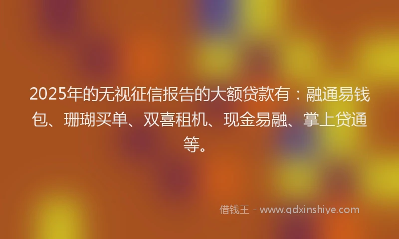 2025年的无视征信报告的大额贷款有：融通易钱包、珊瑚买单、双喜租机、现金易融、掌上贷通等。