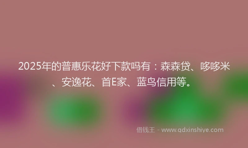 2025年的普惠乐花好下款吗有：森森贷、哆哆米、安逸花、首E家、蓝鸟信用等。
