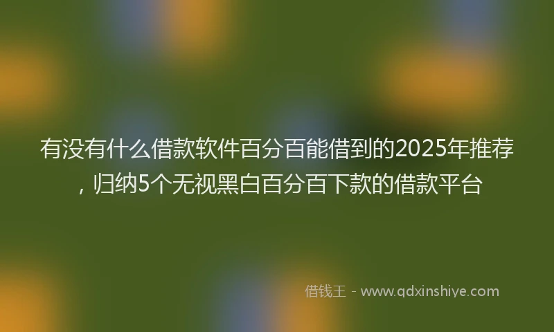 有没有什么借款软件百分百能借到的2025年推荐，归纳5个无视黑白百分百下款的借款平台