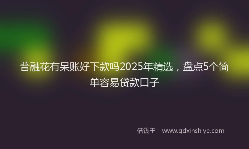 普融花有呆账好下款吗2025年精选，盘点5个简单容易贷款口子