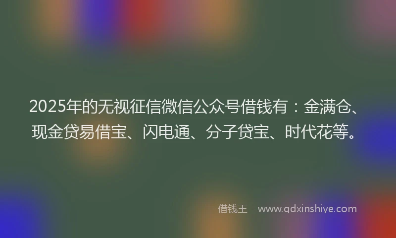 2025年的无视征信微信公众号借钱有：金满仓、现金贷易借宝、闪电通、分子贷宝、时代花等。