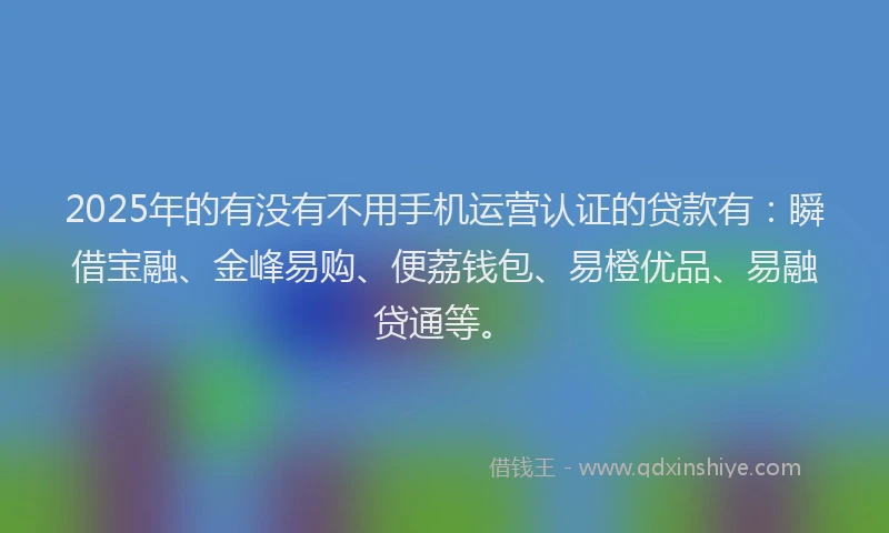 2025年的有没有不用手机运营认证的贷款有：瞬借宝融、金峰易购、便荔钱包、易橙优品、易融贷通等。