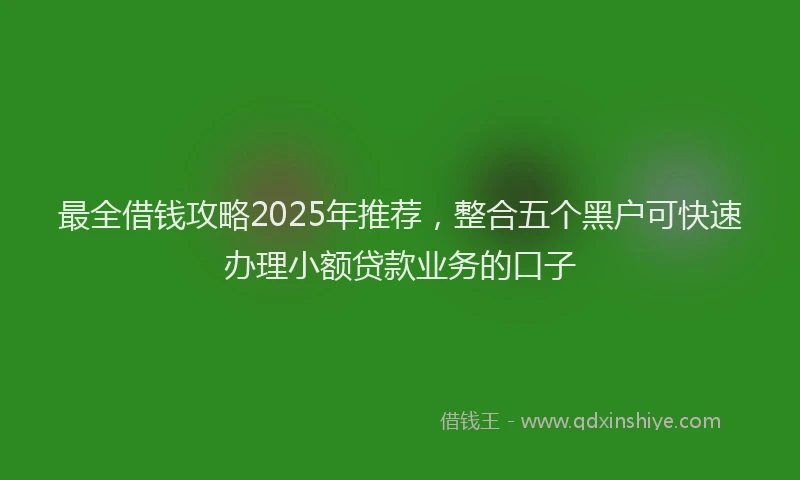 最全借钱攻略2025年推荐，整合五个黑户可快速办理小额贷款业务的口子