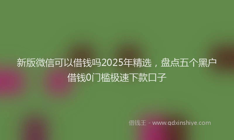 新版微信可以借钱吗2025年精选，盘点五个黑户借钱0门槛极速下款口子