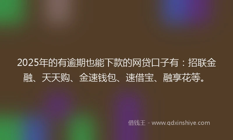2025年的有逾期也能下款的网贷口子有：招联金融、天天购、金速钱包、速借宝、融享花等。