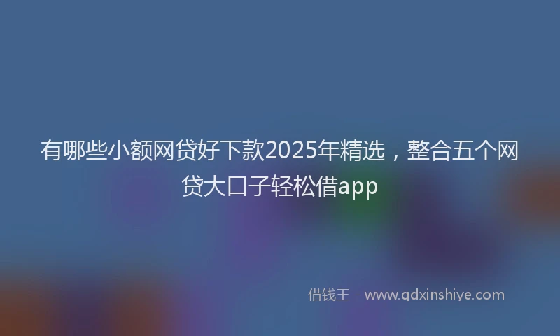 有哪些小额网贷好下款2025年精选，整合五个网贷大口子轻松借app