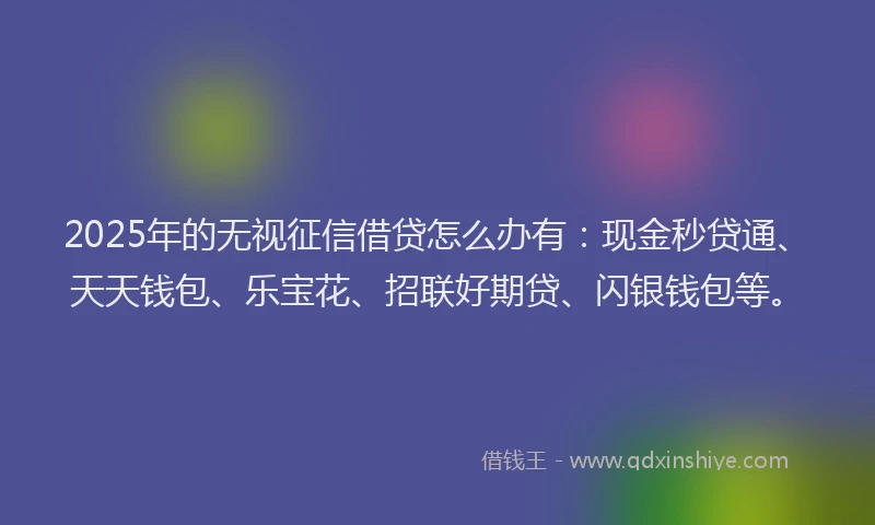 2025年的无视征信借贷怎么办有：现金秒贷通、天天钱包、乐宝花、招联好期贷、闪银钱包等。
