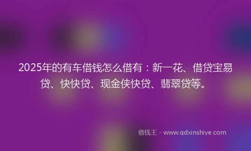 2025年的有车借钱怎么借有：新一花、借贷宝易贷、快快贷、现金侠快贷、翡翠贷等。