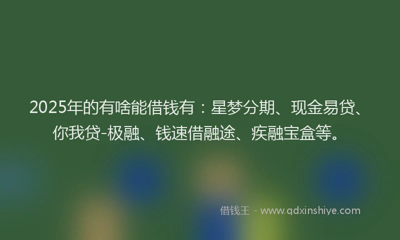 2025年的有啥能借钱有：星梦分期、现金易贷、你我贷-极融、钱速借融途、疾融宝盒等。