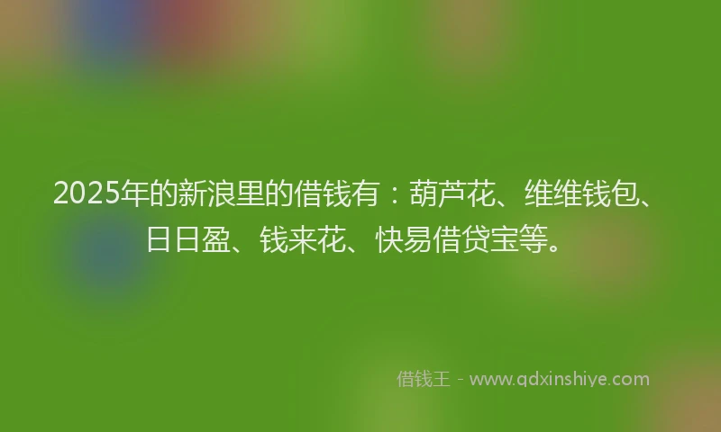 2025年的新浪里的借钱有：葫芦花、维维钱包、日日盈、钱来花、快易借贷宝等。