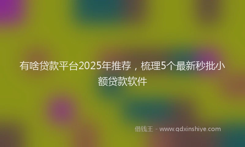 有啥贷款平台2025年推荐，梳理5个最新秒批小额贷款软件