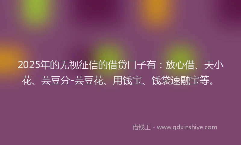 2025年的无视征信的借贷口子有：放心借、天小花、芸豆分-芸豆花、用钱宝、钱袋速融宝等。
