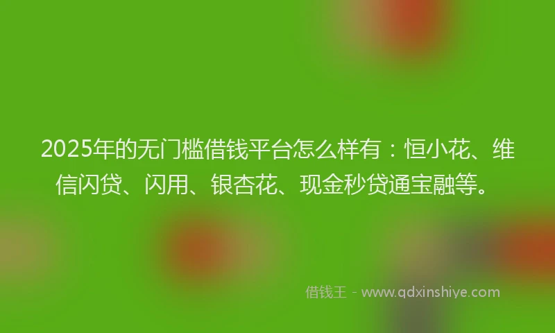 2025年的无门槛借钱平台怎么样有：恒小花、维信闪贷、闪用、银杏花、现金秒贷通宝融等。