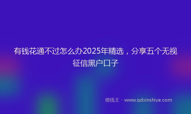 有钱花通不过怎么办2025年精选，分享五个无视征信黑户口子