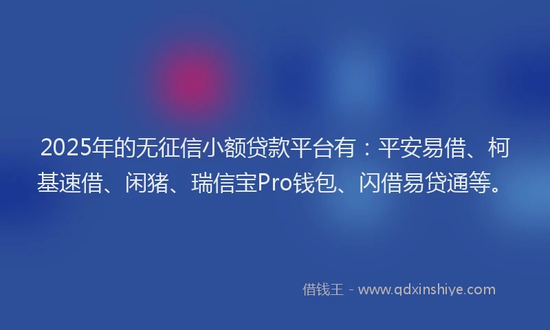 2025年的无征信小额贷款平台有：平安易借、柯基速借、闲猪、瑞信宝Pro钱包、闪借易贷通等。