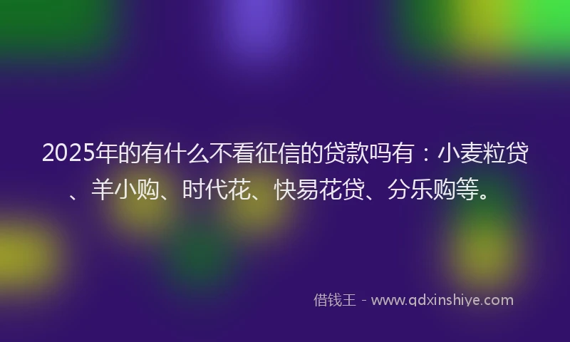 2025年的有什么不看征信的贷款吗有：小麦粒贷、羊小购、时代花、快易花贷、分乐购等。